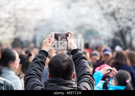 Nanjin, Nanjin, Chine. Mar 22, 2018. Nanjing, Chine 22 mars 2018 : les touristes affluent à Temple Jiming pour profiter de cerisiers à Nanjing, Jiangsu Province de Chine orientale. Crédit : SIPA Asie/ZUMA/Alamy Fil Live News Banque D'Images