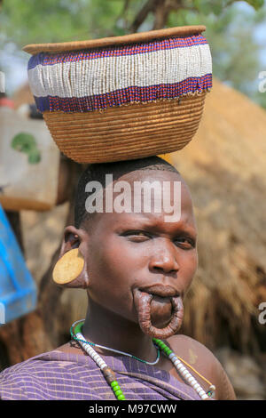 De la femme Mursi avec lèvre inférieure allongée d'organiser un disque d'argile comme ornamentstribe corps Debub Zone d'Omo, en Ethiopie. Près de la frontière soudanaise. Banque D'Images