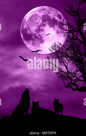 Pack des loups, les chauves-souris et la pleine lune, nuit d'Halloween Banque D'Images