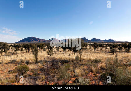 Panorama de l'Uluru Kata Tjuta en-Kata Tjuta National Park, Territoire du Nord, Australie Banque D'Images