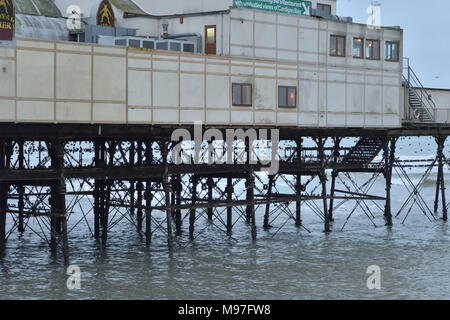 Les étourneaux se percher dans Aberystwyth Pier Banque D'Images