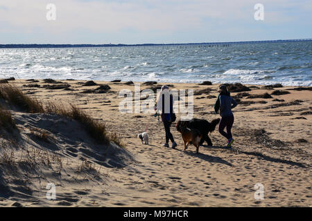 Deux femmes à pied leurs chiens le long de la plage au premier débarquement State Park à Virginia Beach, Virginie. Banque D'Images