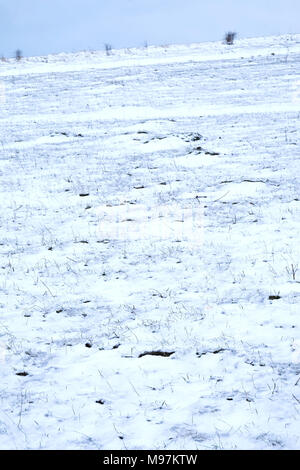 À la recherche d'une prairie raide colline d'une couverture de neige sur le sol derrière le ciel est gris, la neige, la scène Banque D'Images