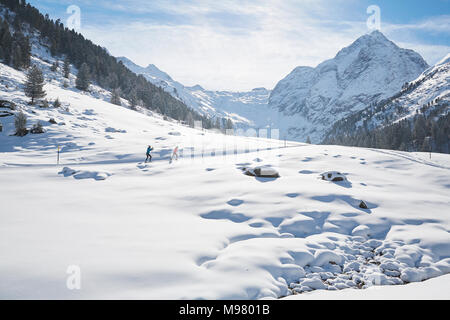 Autriche, Tyrol, Luesens, Sellrain, deux skieurs de fond dans un paysage couvert de neige Banque D'Images