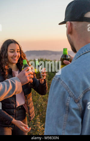Happy friends clinking beer bottles outdoors at sunset Banque D'Images