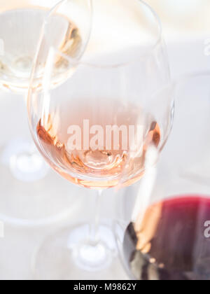 Dégustation de vin dans l'Alentejo, Portugal. Banque D'Images