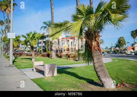 Beau paysage urbain dans une journée ensoleillée avec des palmiers à Long Beach, Los Angeles County, Californie Banque D'Images