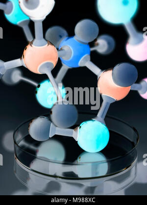 Le modèle moléculaire in petri dish Banque D'Images
