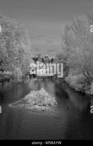 Une vue infrarouge d'automne le long de la rivière Tone Weir en français Weir Park dans le centre de Taunton, Somerset, UK. Banque D'Images