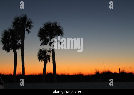 Silhouette de palmiers pendant un coucher de soleil sur St Pete Beach, Floride Banque D'Images