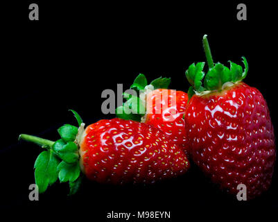 Close-up de 3 fraises fraîches sur fond noir Banque D'Images