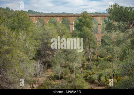 L'Aqueduc Ferreres dans la forêt Banque D'Images