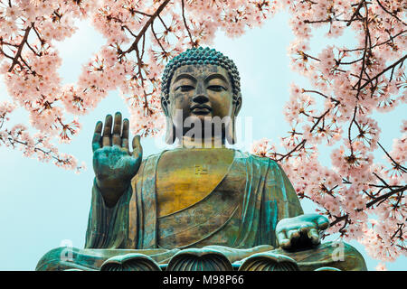 Statue de Bouddha avec cherry blossom in monastère Po Lin, Hong Kong Banque D'Images