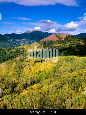 Silver Mountain, San Juan National Forest, Colorado Banque D'Images