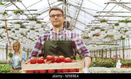 Happy Farmer marche sur l'appareil photo avec boîte pleine de tomates par le biais de l'industrielle, très éclairé, d'autres agriculteurs à effet de travailler avec des légumes dans le Backgrou Banque D'Images