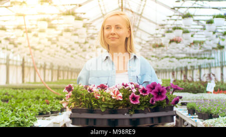 Ingénieur agricole détient fort avec des fleurs. Heureusement, elle travaille sous le soleil les émissions industrielles. Diverses plantes qui poussent autour d'elle. Banque D'Images