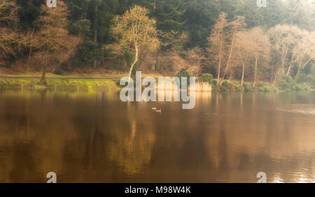 Shearwater lake- Wiltshire UK - campagne Banque D'Images