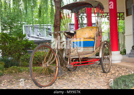 Tricycle dans le jardin public Banque D'Images