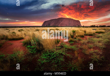 Uluru (Ayers rock) - Territoire du nord Banque D'Images