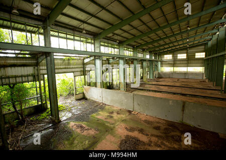 Apoera gare au Suriname, près de la rivière qui Courantayne a été abandonnée après l'intention de l'utiliser pour aller de la bauxite ont été interrompus Banque D'Images