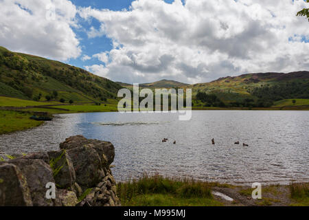 Watendlath Tarn, Lake District, Cumbria, England, UK Banque D'Images