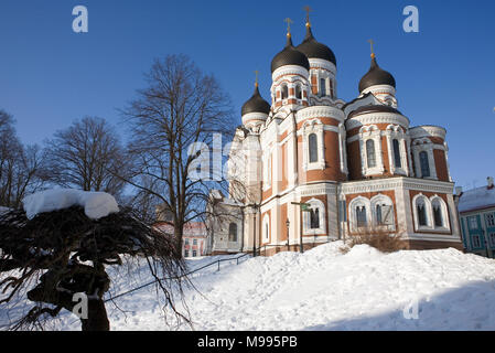 Aleksander Nevski Cathedral sous la neige : La colline de Toompea (cathédrale), Tallinn, Estonie Banque D'Images