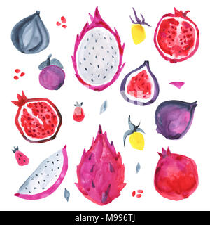 Aquarelle de fruits exotiques. Illustration à la main Banque D'Images