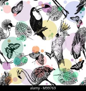 Motif de la main transparente style croquis d'oiseaux exotiques, de plantes et de papillons isolé sur fond blanc. Vector illustration. Illustration de Vecteur