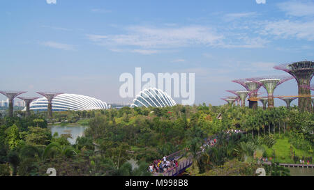 Singapour - APR 2nd, 2015 : la vue quotidienne du Supertree Grove dans les jardins de la baie de Singapour. S'étendant sur 101 hectares, et de cinq minutes à pied de la station de MRT Bayfront. Banque D'Images