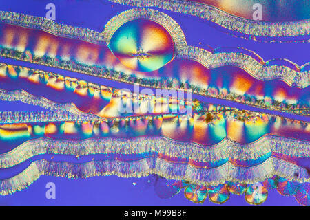 Polarisation croisée à fond clair photomicrographie, vitamine C, acide ascorbique Banque D'Images