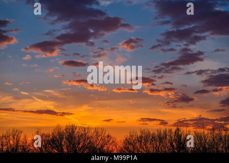 Vue d'un coucher de soleil du Midwest ; bleu ciel nuageux au-dessus, la lumière zodiacale rouge juste au-dessus de la ligne d'arbres Banque D'Images