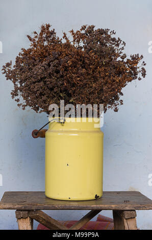 Décoration maison concept : prairie séchées des fleurs dans un pot en métal jaune sur le vieux banc de bois avec des clous qui sort Banque D'Images