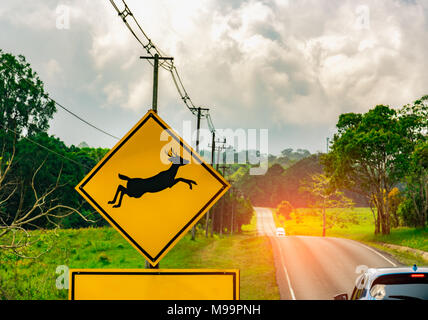 Attention ! À côté de passage de la route asphaltée près de petite colline et champ d'herbe verte. Voiture de l'conduite avec précaution durant le voyage Banque D'Images