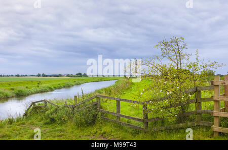 Vue sur la rivière Hull avec l'herbe banques et Wild Rose bush à côté de clôture en bois en été, Beverley, Yorkshire, UK. Banque D'Images