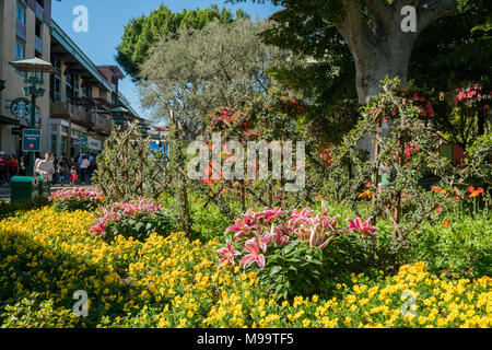 Los Angeles, 18 févr. : Beaux magasins dans Downtown Disney District le Feb 18, 2018 à Los Angeles Banque D'Images