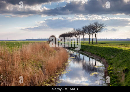 Un canal sur le Romney Marsh, Kent, UK avec des arbres se reflétant dans l'eau, roseaux et abondants nuages spectaculaires au-dessus. Banque D'Images