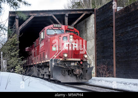 La potasse CP dirigée par loco 8944 en hiver émerge de la neige en bois Maisons en bois le long du Lac des Trois Vallées BC Banque D'Images