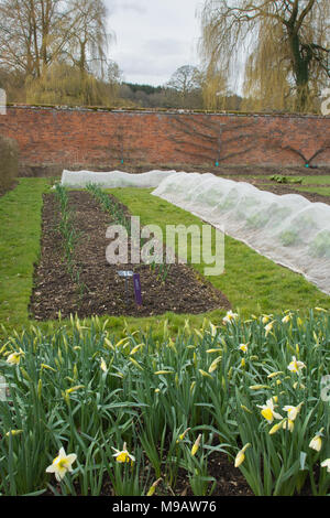 Cuisine Jardin dans le Hampshire, au Royaume-Uni Banque D'Images