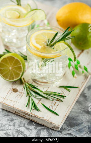 Boisson alcoolisée avec citron et rosemain, dans les verres sur une table lumineuse Banque D'Images