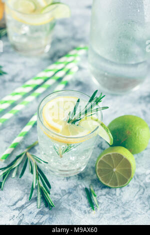 Boisson alcoolisée avec citron et rosemain, dans les verres sur une table lumineuse Banque D'Images