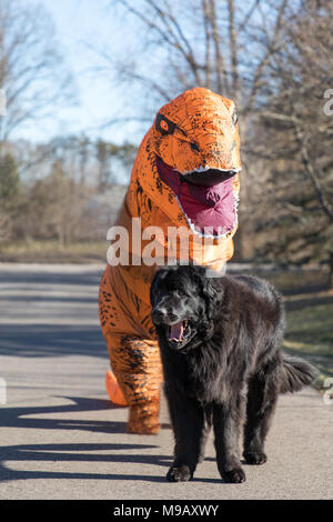 Un chien de Terre-Neuve avec un dinosaure Trex debout derrière elle Banque D'Images