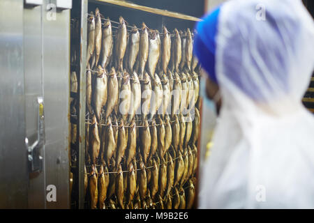 Poissons en fumeur Banque D'Images