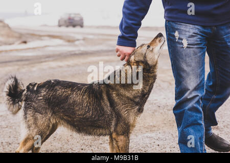 La gentillesse et la confiance d'un chien errant à un étranger Banque D'Images