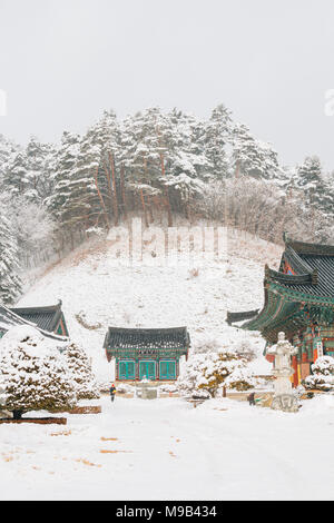 Asian temple Woljeongsa Odaesan avec de la neige en Corée Banque D'Images