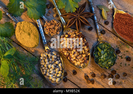 Sélection d'herbes et d'épices utilisé pour ajouter de la saveur à la cuisson. Banque D'Images
