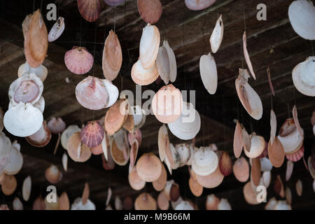 Décoration - modèle coquille coquillage accroché sur plafond - Travel Concept - Banque D'Images