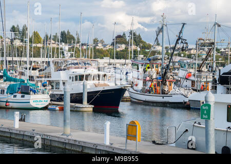 Marina remplie de variété de bateaux, Everett, Washington Banque D'Images