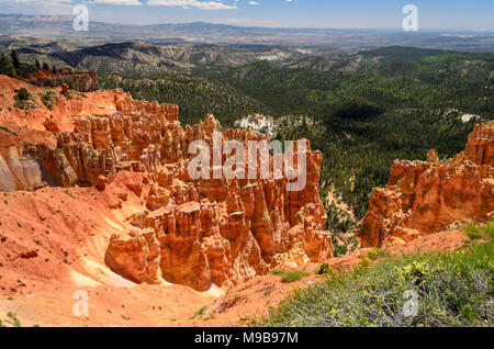 Belle donnent sur des flèches rouges et vertes vallées canyon avec ci-dessous. Banque D'Images