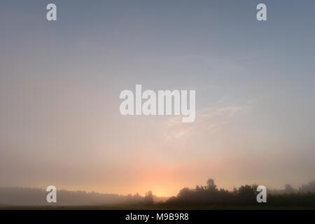 Lever de soleil dans la brume d'été matin de brouillard sur le terrain Banque D'Images