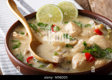 Soupe de poulet à la thaïlandaise tom kha gai avec du lait de coco close-up dans un bol sur la table horizontale. Banque D'Images